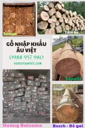 Gỗ nhập khẩu Âu Việt chuyên mục về gỗ